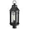 Nuvo Wilton - 1 Light Post Top - Matte Black with Clear Seeded Glass 60/8105 - alternate 1